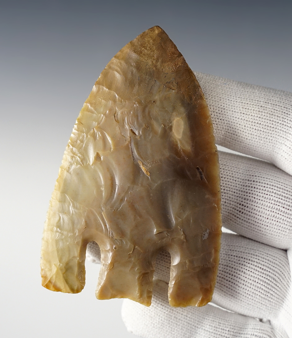 Incredible 3 7/16" Andice with restoration to the tip. Lee Co., Texas. Rogers COA.