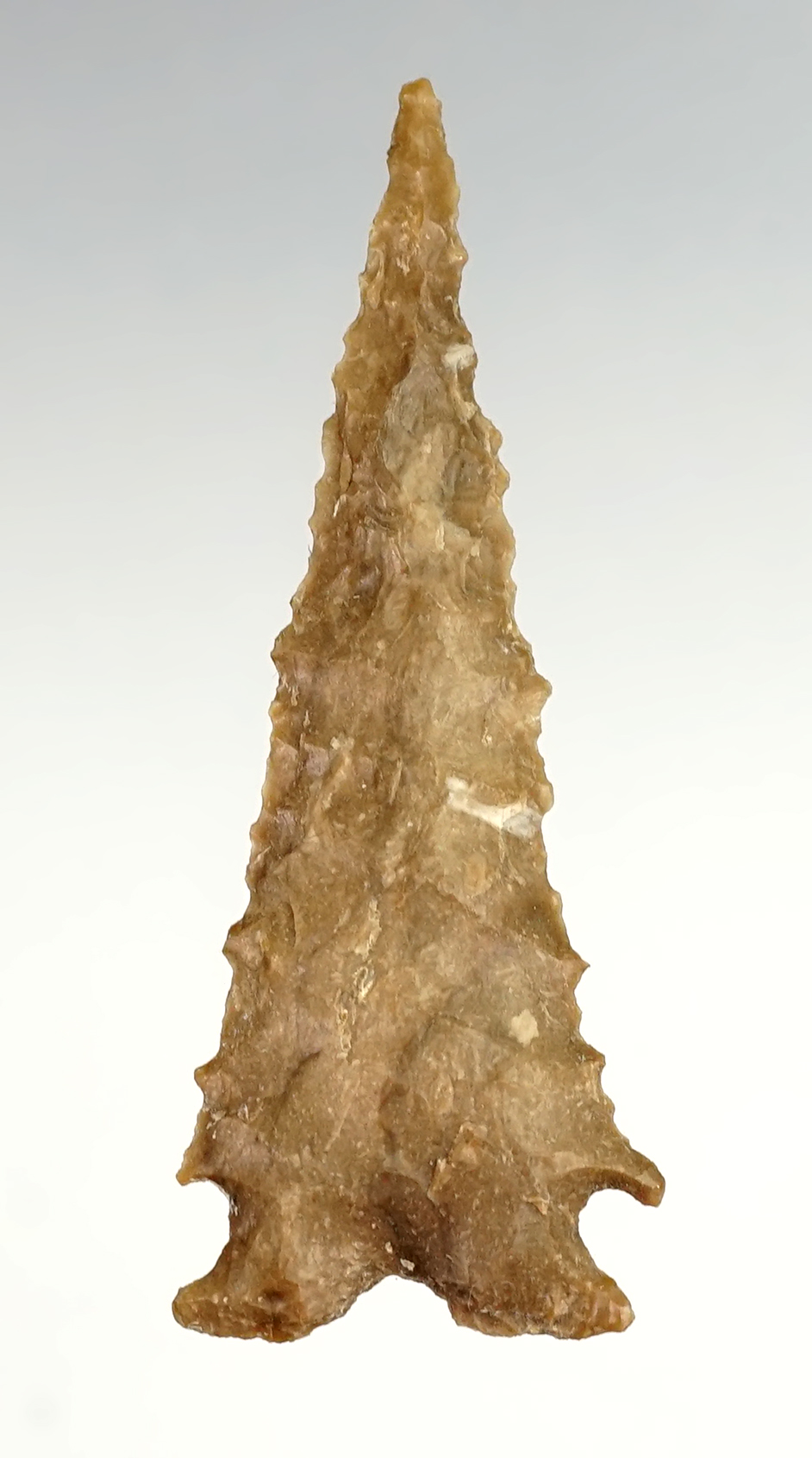  1 9/16" finely serrated Snake River - Washington/Oregon area.