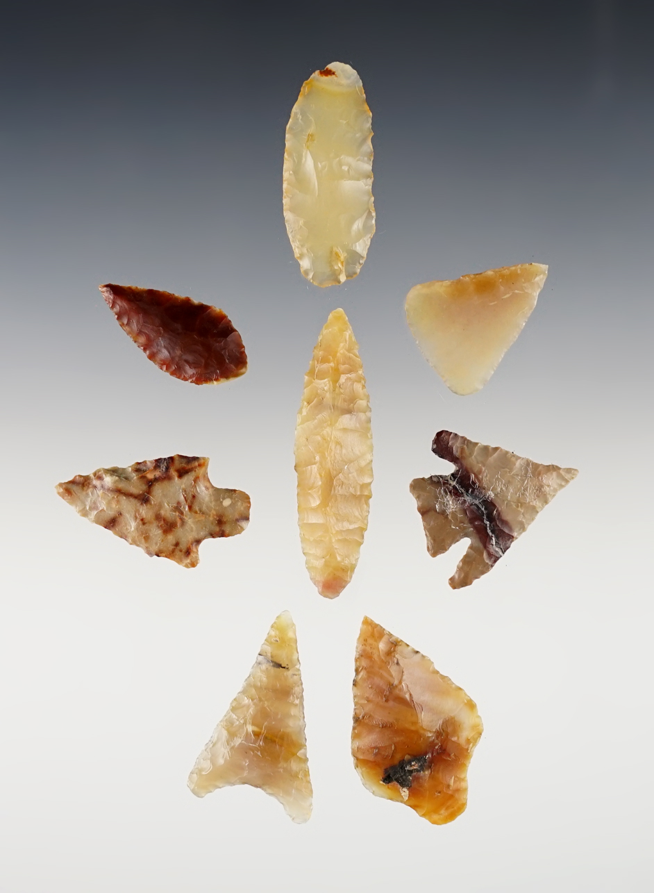 Set of 8 assorted points found near the Columbia River, Washington/Oregon. 