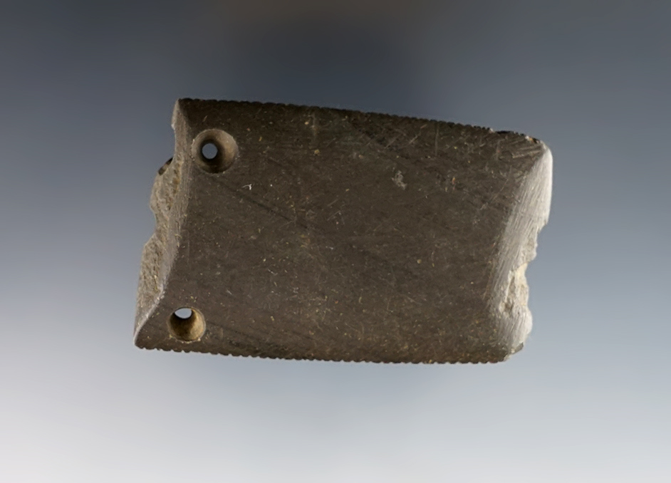 2 5/8" anciently salvaged Gorget with many fine tallies - Xenia, Greene Co., Ohio.