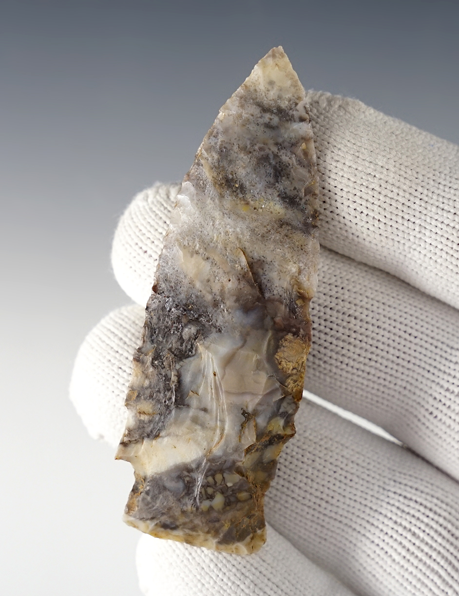 2 13/16" Matanzas found in Central Illinois. Made from nicely colored Jefferson City Chert.