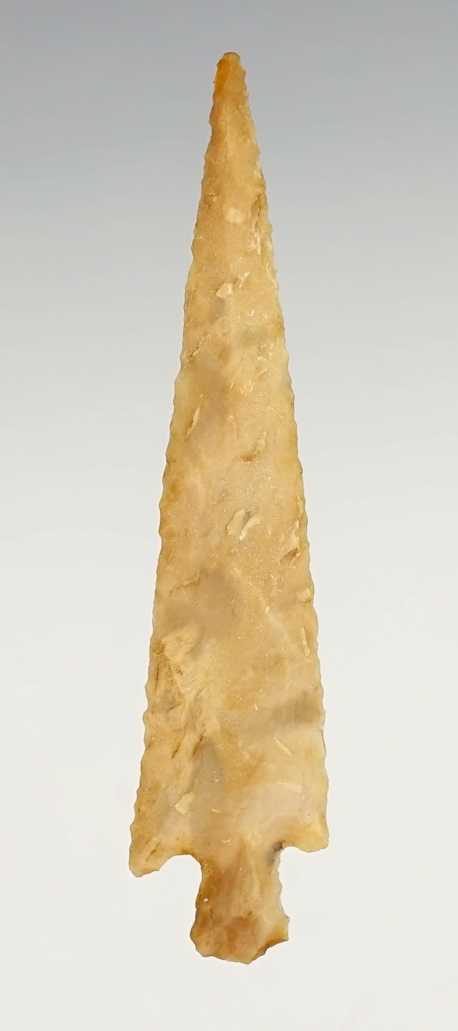 1 5/8" Rose Springs that is well styled. Found near the Columbia River, Washington/Oregon. 