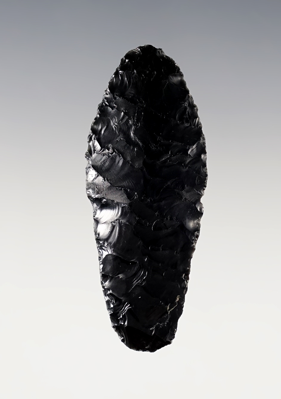 Rare 2 5/16" Lake Mohave found in Lake Co., Oregon. Comes with a Rogers COA. 