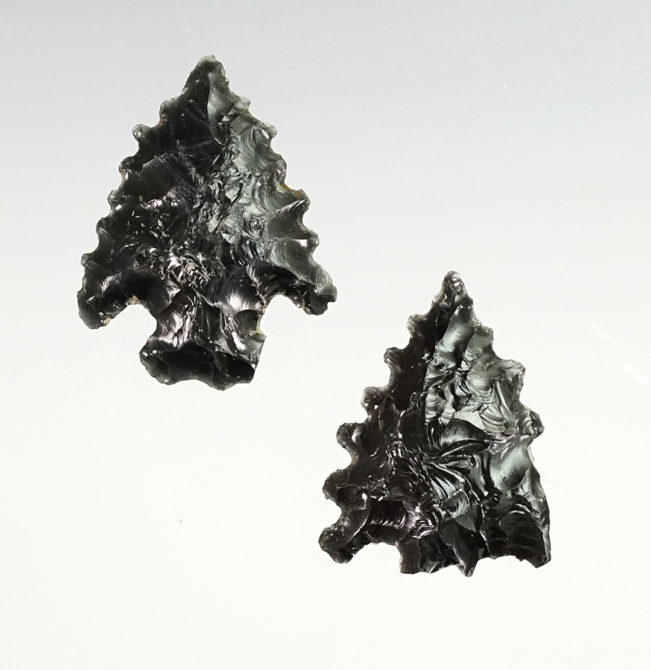 Pair of Calapooya points that are serrated. Found close to the Willamette Valley, Oregon. 