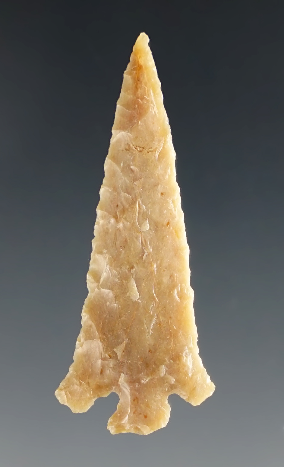 1 11/16" Eastgate found near the Columbia River on private land by Norma Berg.