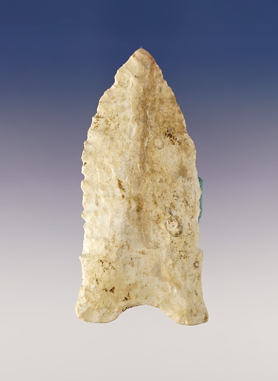 Well stlyed 2 13/16" Dalton found in Henry Co., Tennessee. Ex. Garry Mumaw.