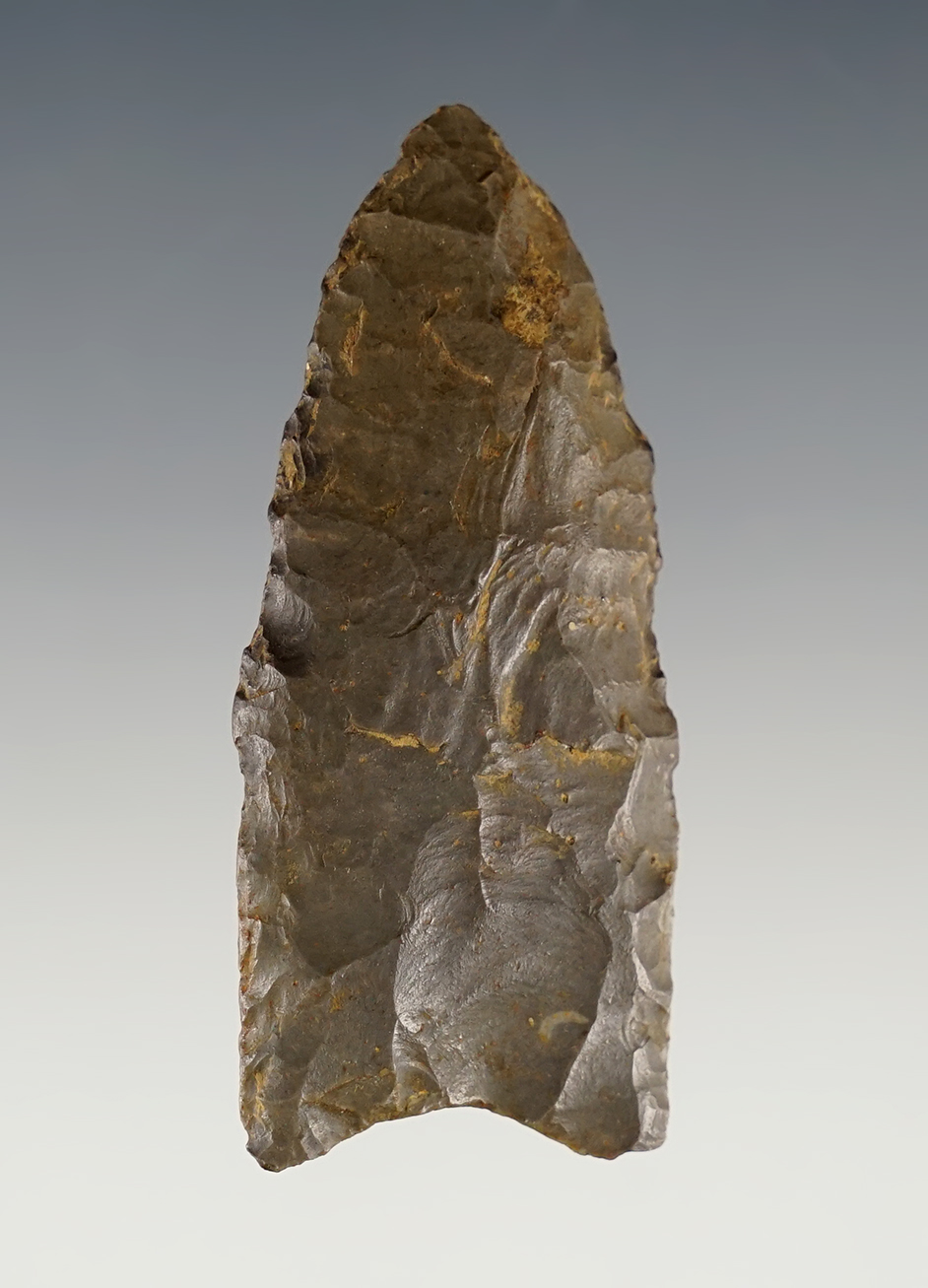 2 3/16" Paleo Fluted Clovis made from Hornestone. Found in Kentucky. Davis COA G-8.