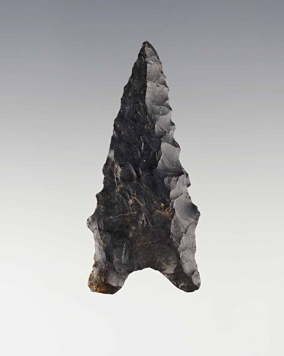 1 13/16" Kentucky Dalton that is nicely beveled and well flaked. Ex. Garry Mumaw.