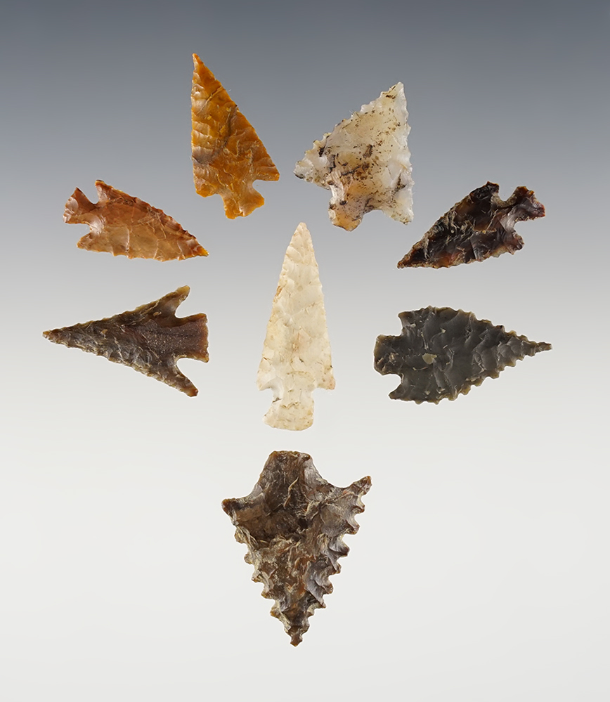 Set of 8 assorted points in excellent condition. Found near the Columbia River