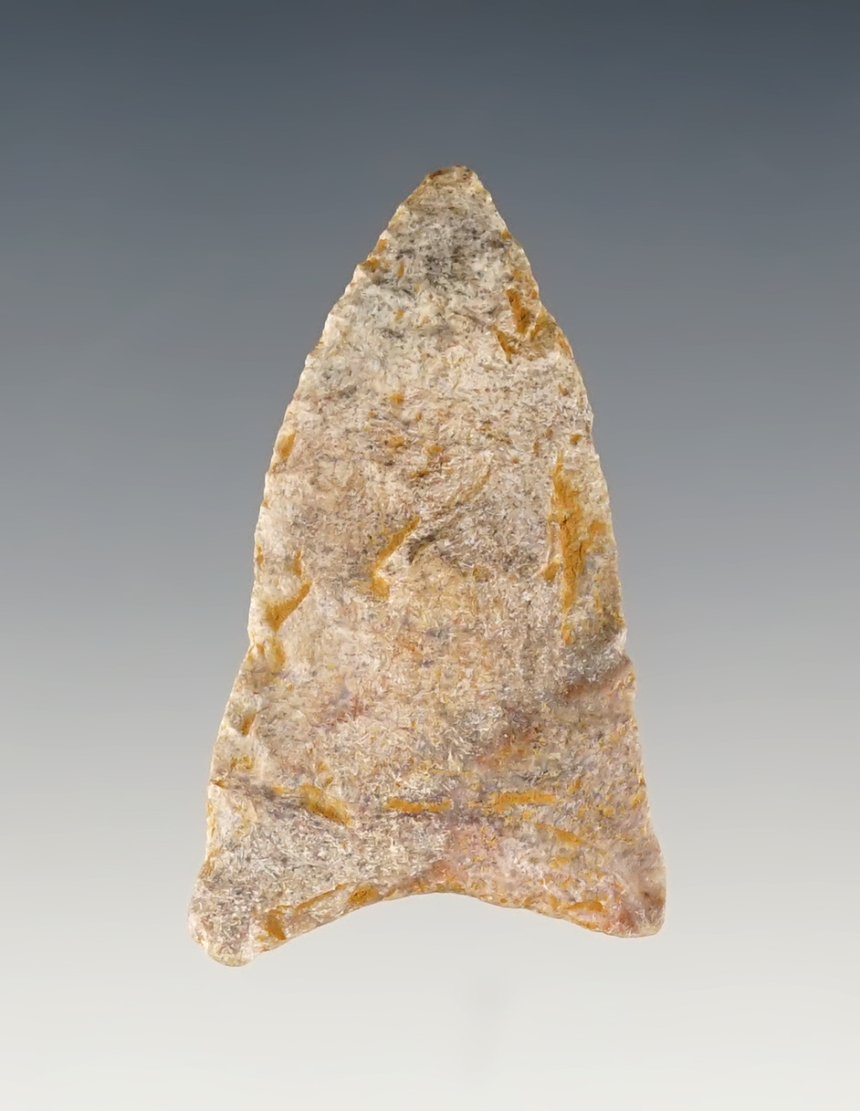 1 7/8" Paleo Alamance with a nicely ground base. Found in Virginia. 