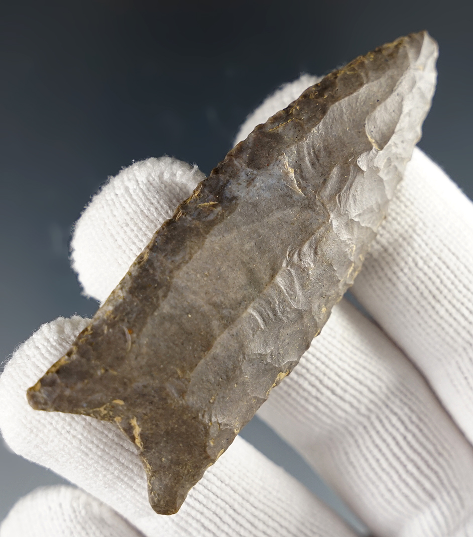 Exceptional 2 3/4" Fluted Paleo Clovis - highly collectible Sonora Flint. Scott Co., Kentucky.
