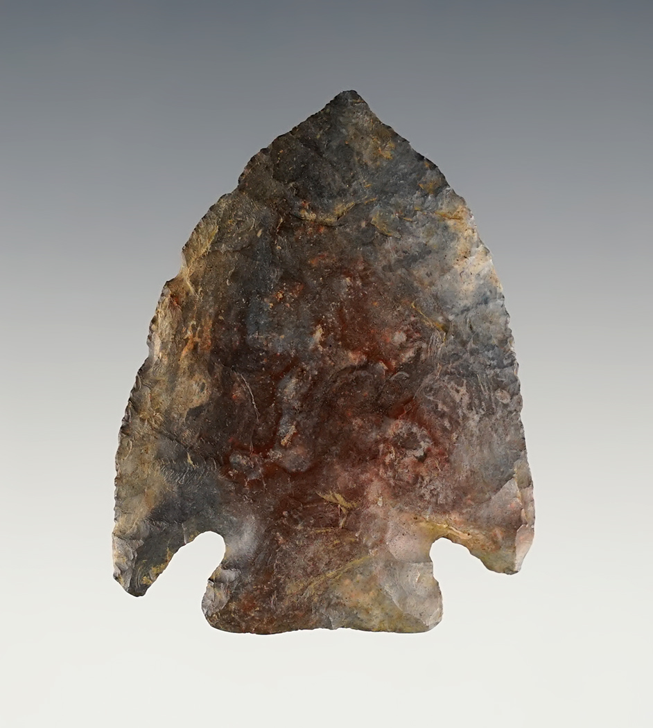 2" very thin Ohio Kirk made from attractive Flint. 