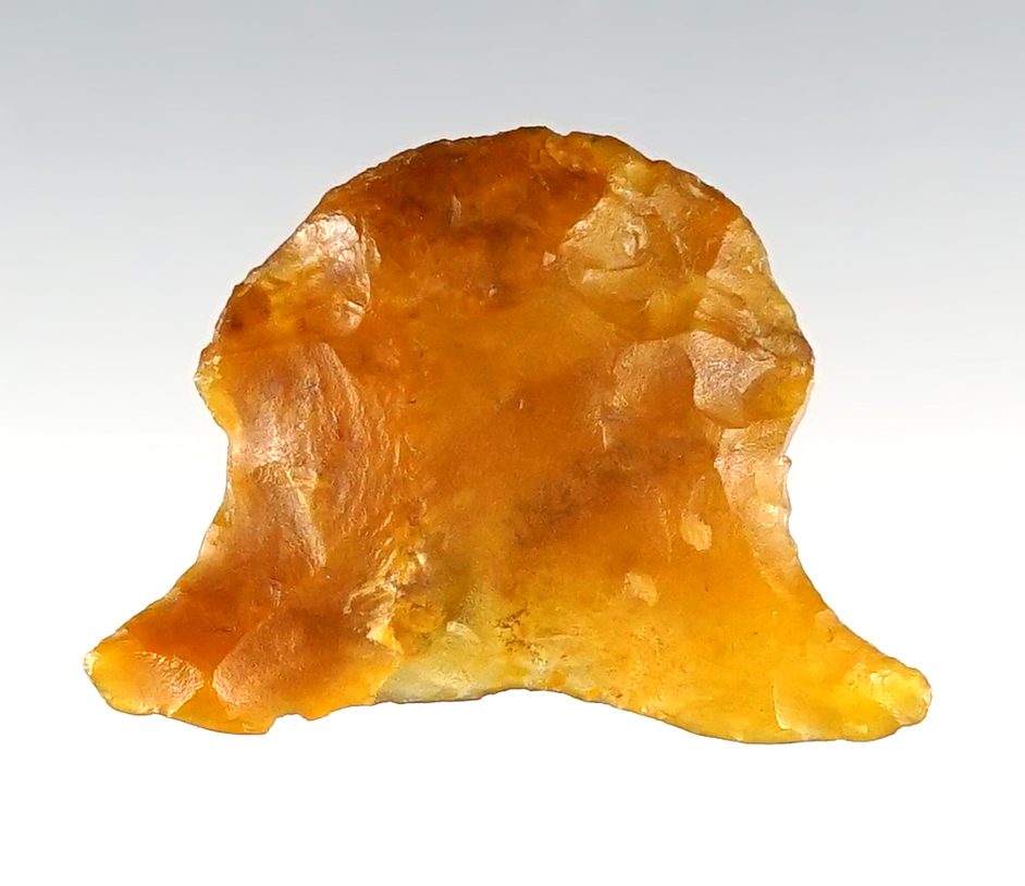 RARE! 7/8" x 1 1/8" wide Hardaway found in Randolph Co., North Carolina.  Stermer COA.