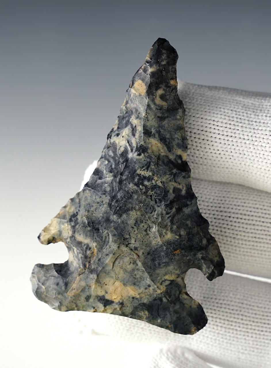 2 7/16" Thebes - well patinated blue and white Coshocton Flint. Found in Ohio. Davis COA. 