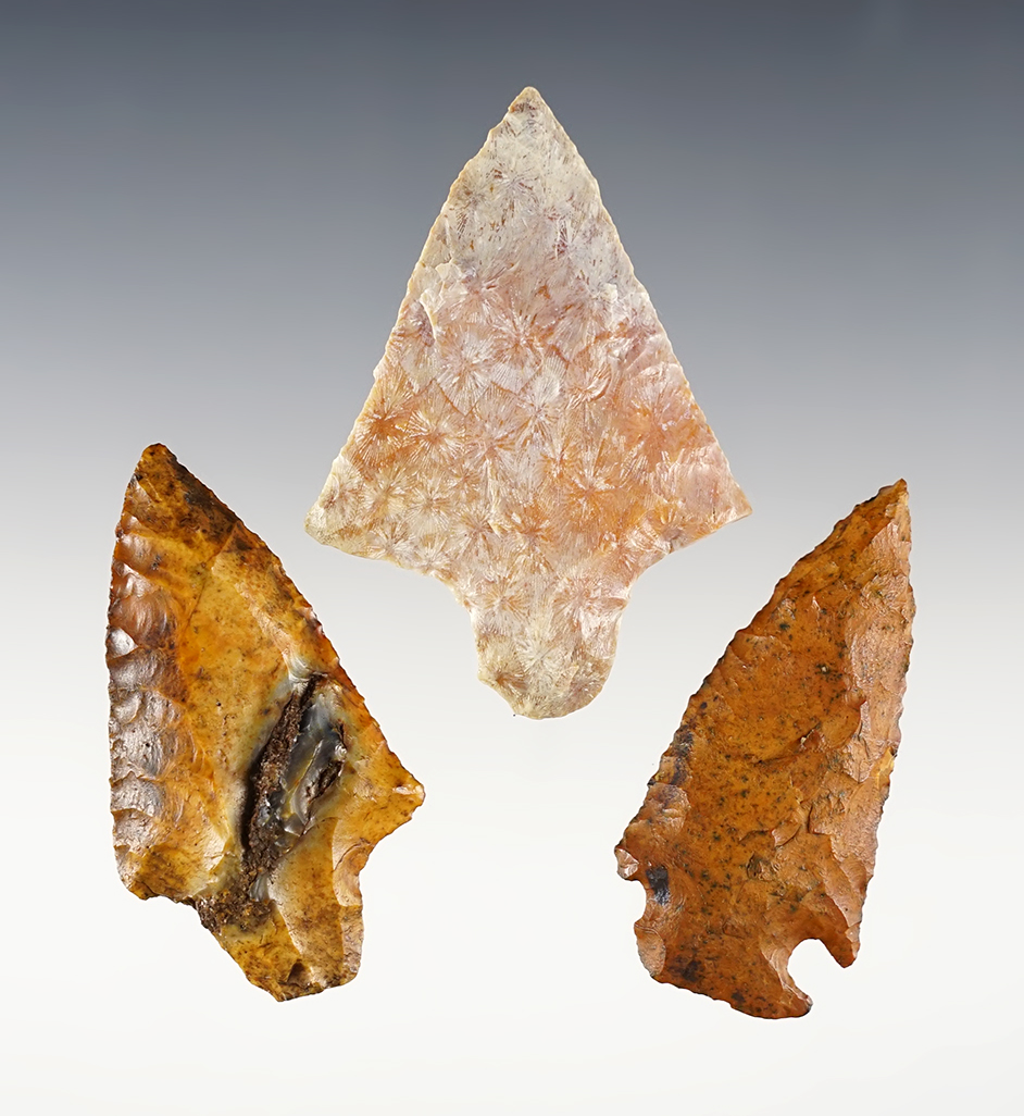 Set of 3 nice Florida points in nice condition. The largest is 2 9/16".