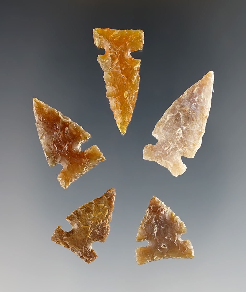 Set of 5 Plains Side Notched Points that are well made from Knife River Flint. Dakota. 
