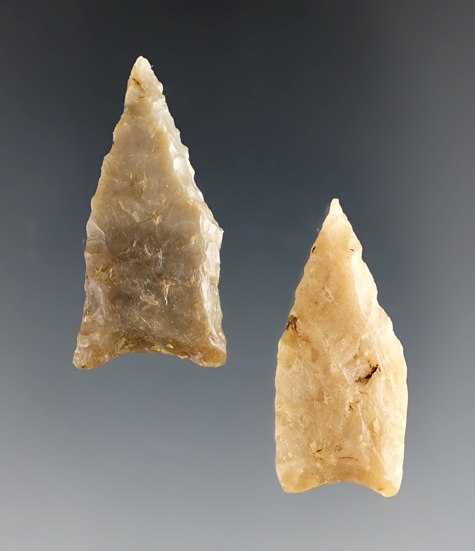 Pair of Meserve points found by Harvey Bruns in Texas. The largest is 1 1/2"