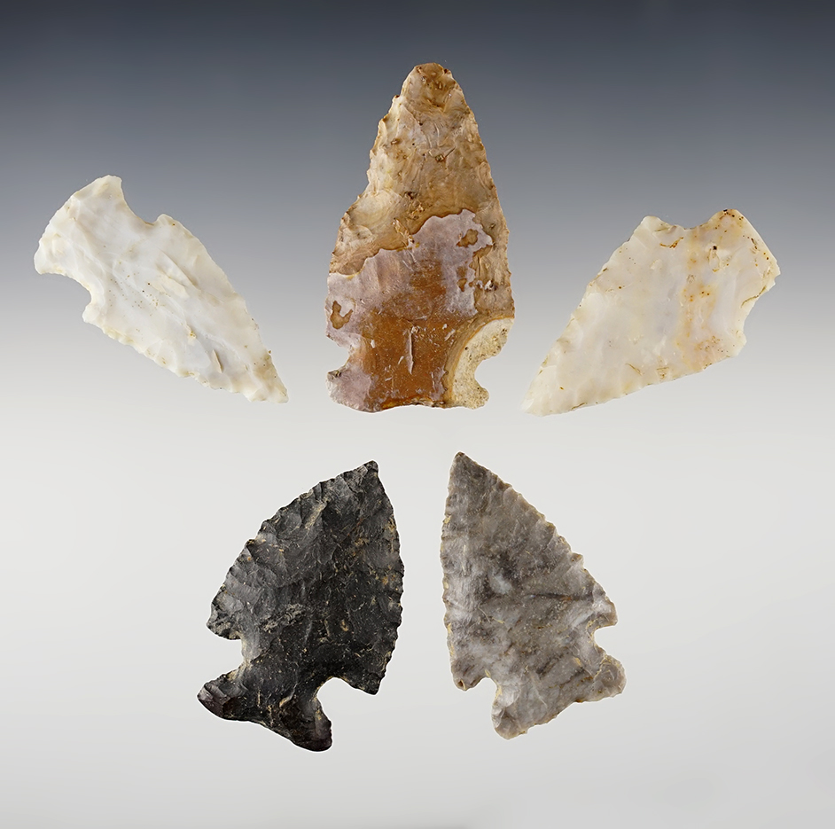 Set of 5 nice Ohio points found by Larry Morris. The largest is 2 1/2".