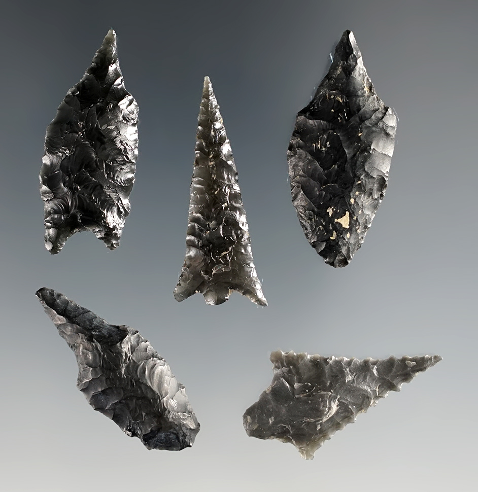 Set of 5 assorted Obsidian Arrowheads and Perforators found near Ft. Rock, Oregon.