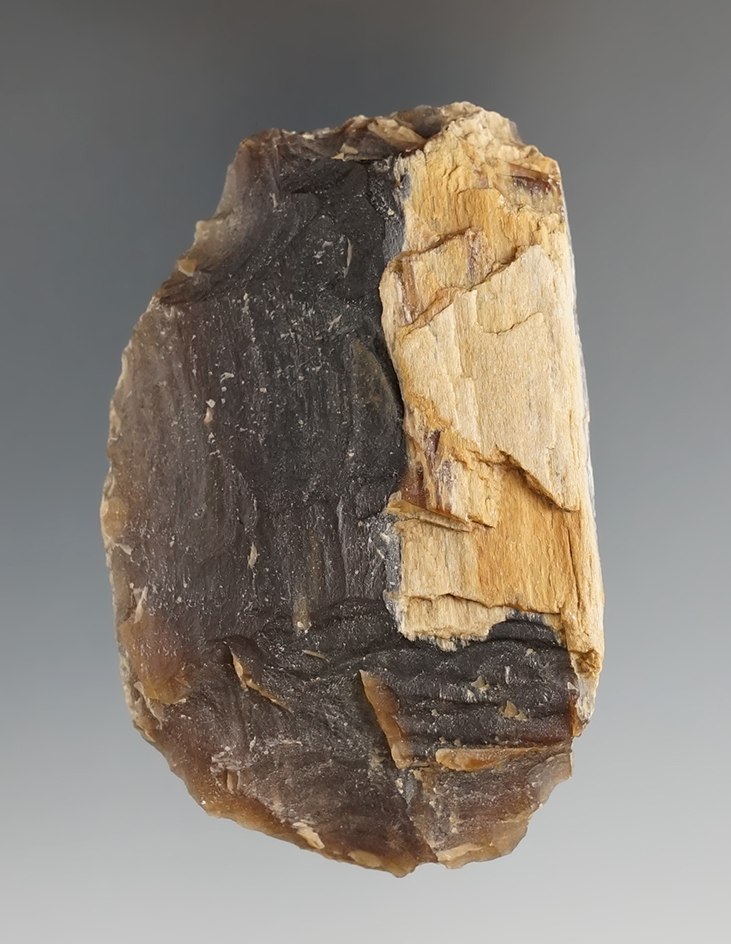 3 1/4" hand chopping tool made from petrified wood found in Texas.
