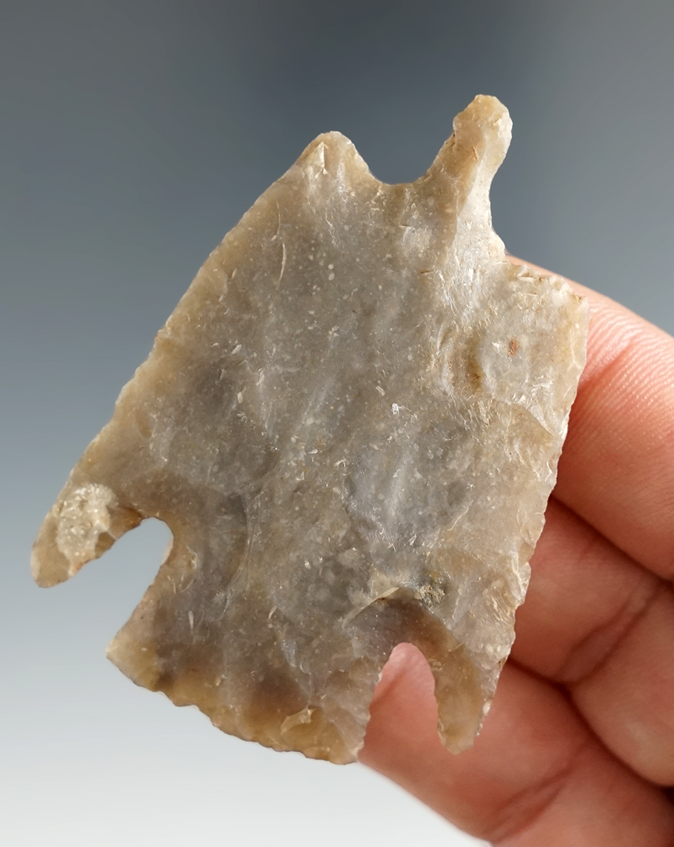 2 5/16" Castroville Drill found in Williamson Co., Texas. Comes with a Rogers COA.