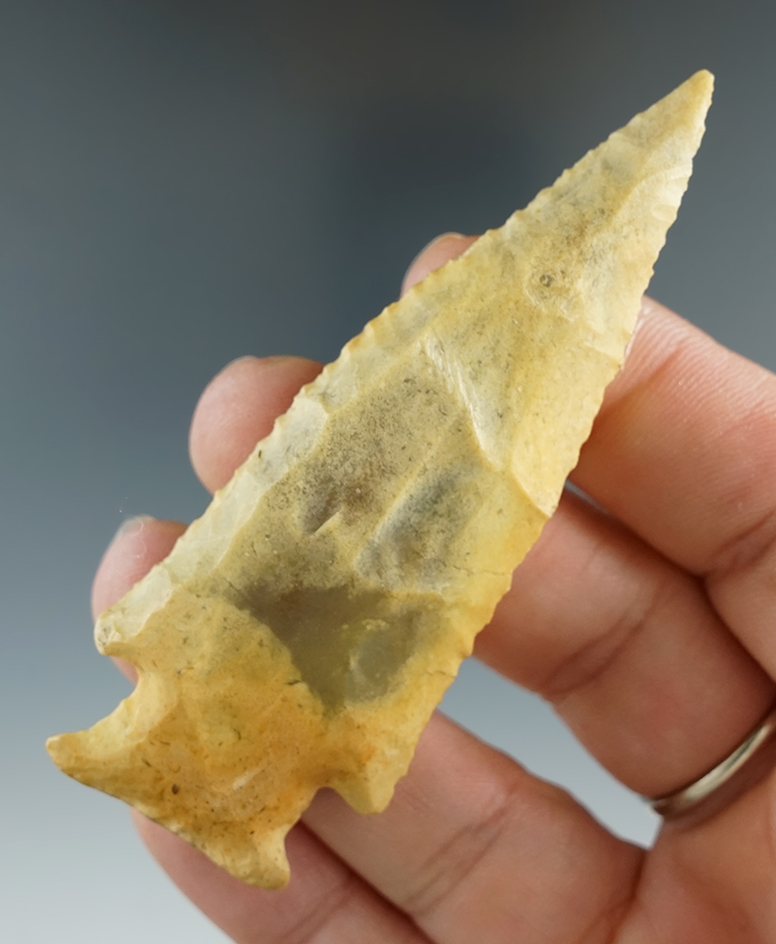 3 1/16" Bolen Bevel - Ocala Chert, found in Levy Co., Florida by Mike Stewart. Tatum COA.