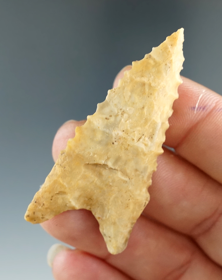 2 1/8" Dalton made from Crowley's Ridge Chert, found in Greene Co., Arkansas. Partain COA.