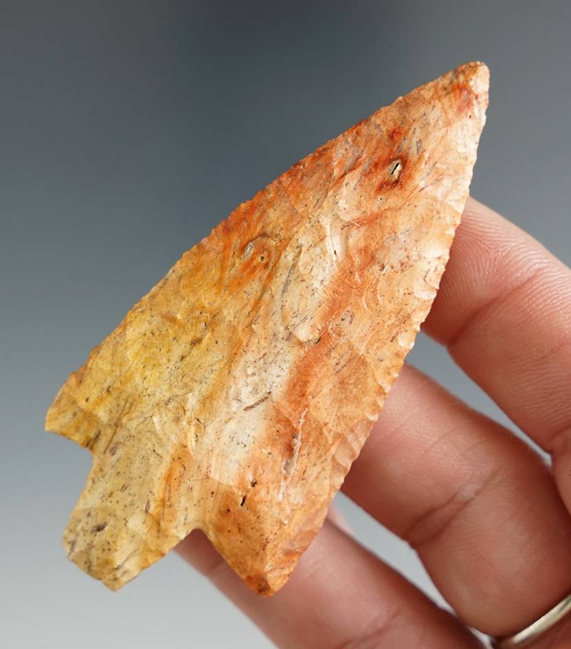 2 7/8" Newnan made from agatized Palmwood, found in Marion Co., Florida. 2 COA's.