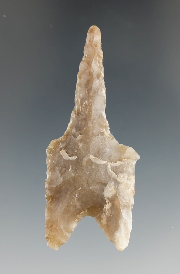 2 5/16" Pedernales Drill found in Williamson Co., Texas. Comes with a Rogers COA.