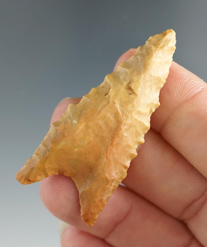 2" classic style Dalton found in Arkansas.