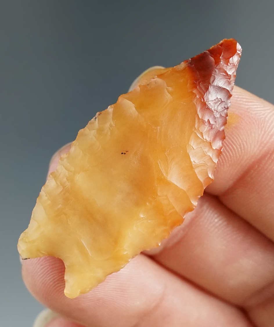 1 13/16" Agate Pinto Basin found in Humboldt Co., Nevada. Bennett and Stermer COA's.