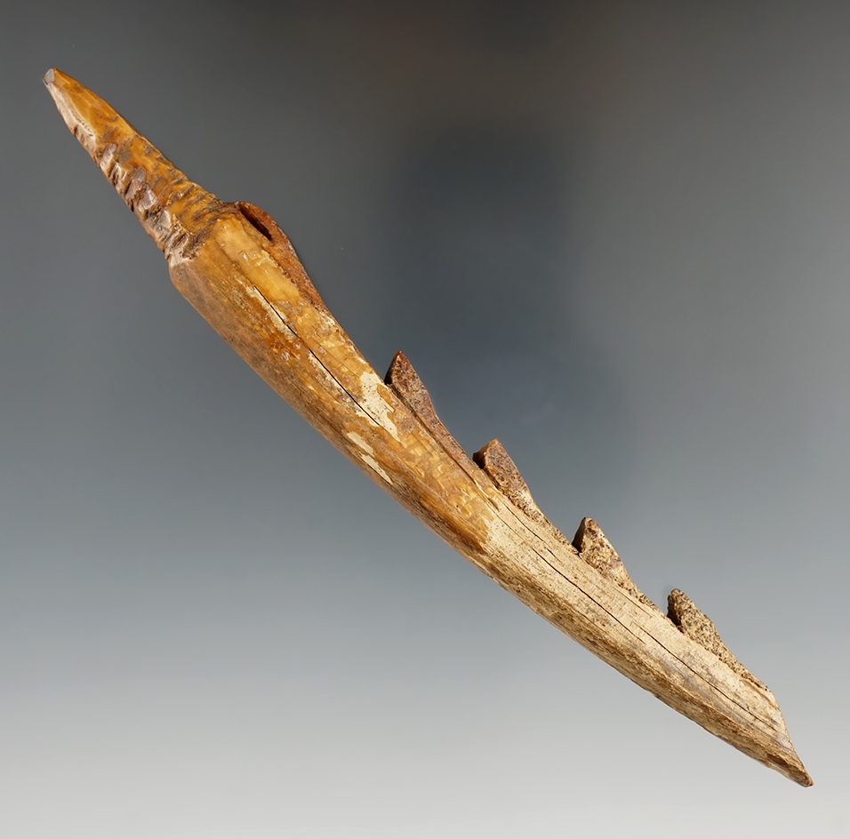 6 1/4" Harpoon Tip found in Alaska. Comes with a Stermer COA.