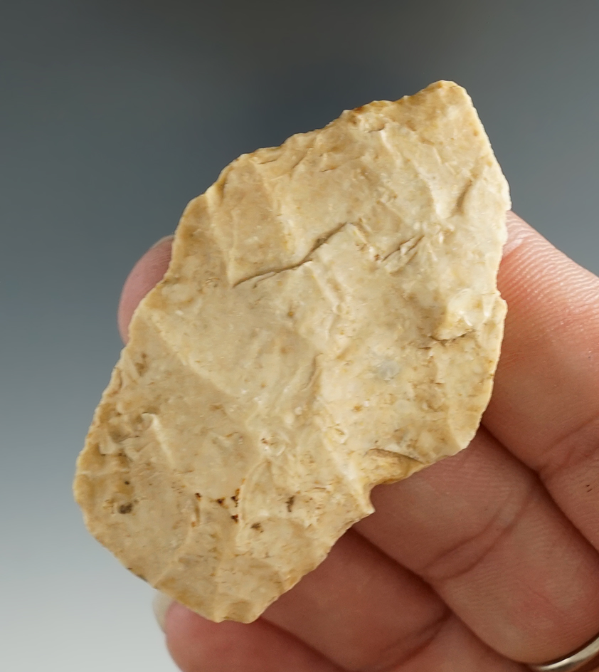 2 1/8" Pelican found in Vernon Parish Louisiana. Comes with a Rogers COA.