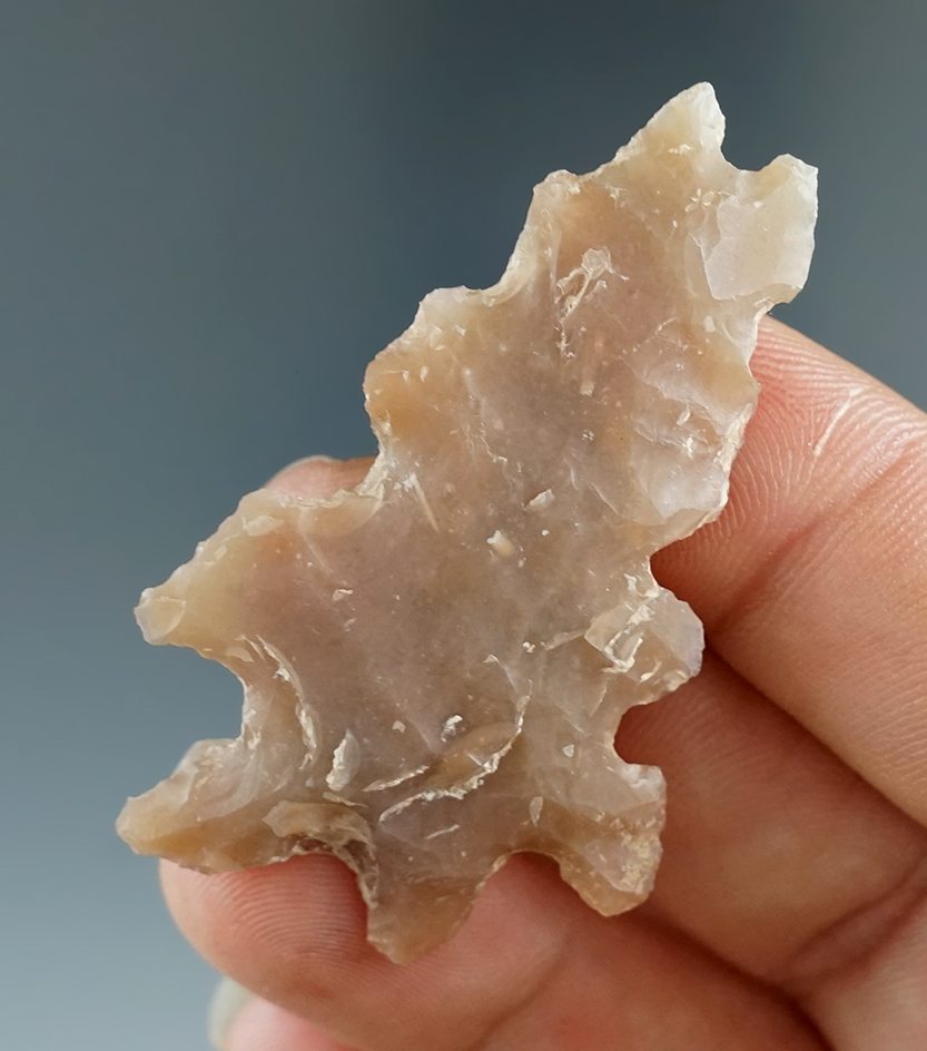 2" Eccentric found in Bandera Co., Texas. Comes with a Rogers COA.