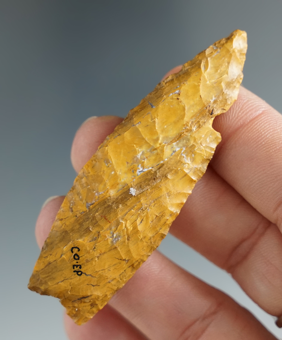 2 5/8" Plainview made from beautiful petrified wood  found in Colorado.