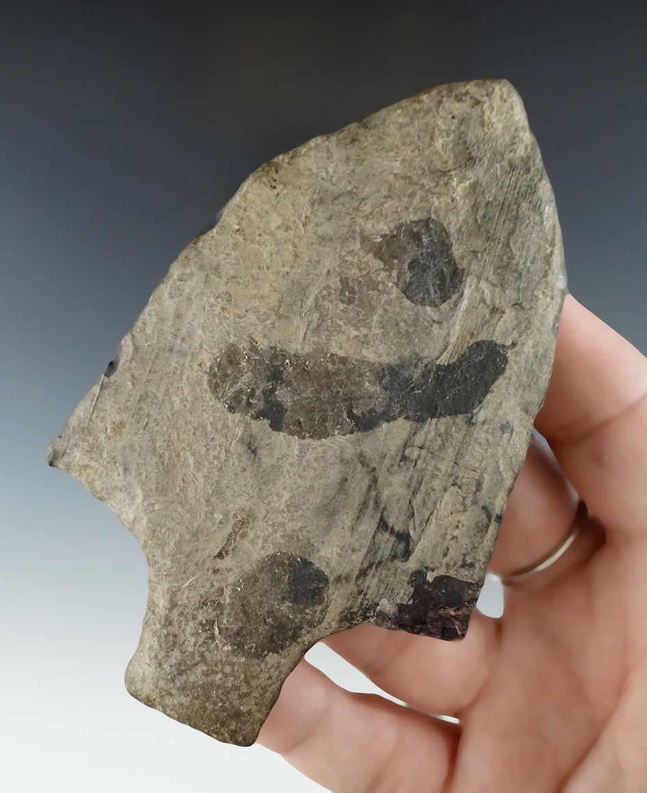 3 15/16 by 2 7/16" Lehigh made from Rhyolite with minor restoration to one ear - Genesee Co., NY.