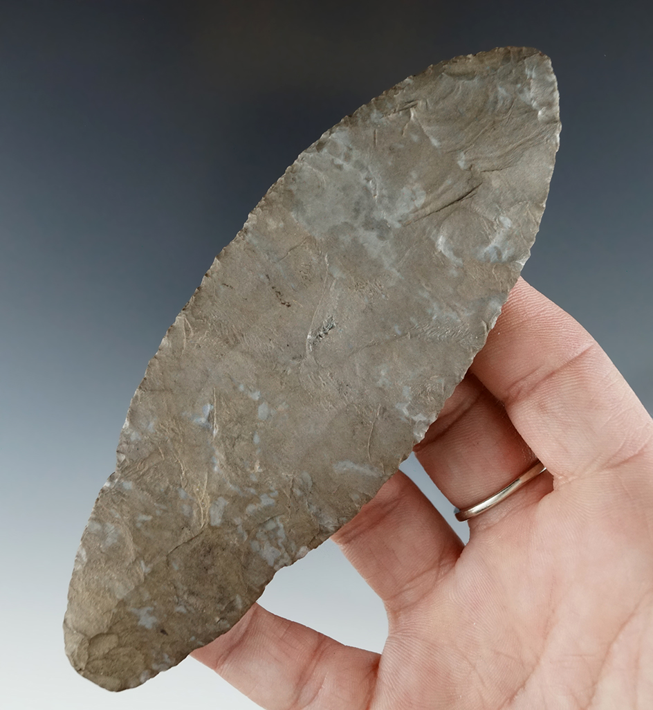 5 1/16" Turkeytail Adena that is thin and very well flaked from Onondaga Flint Cayuga County NY.