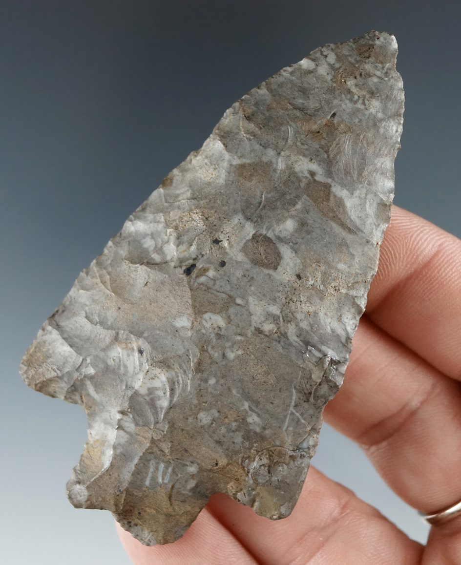 3 1/16" Adena - Onondaga Flint found on the Saxton farm in Canaseraga, Allegheny County NY.