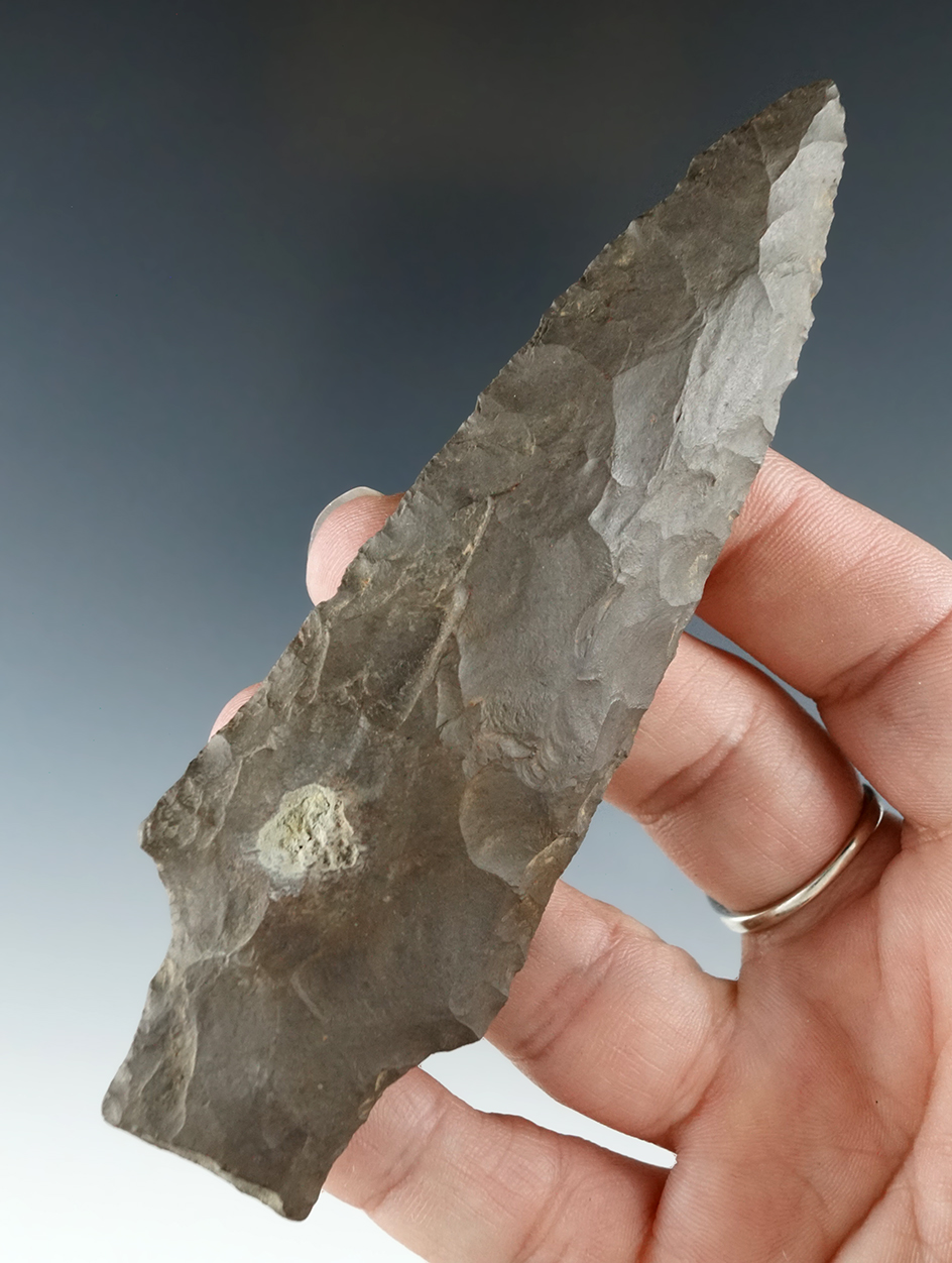 4 7/16" Genesee found near Harpursville, Broome County New York