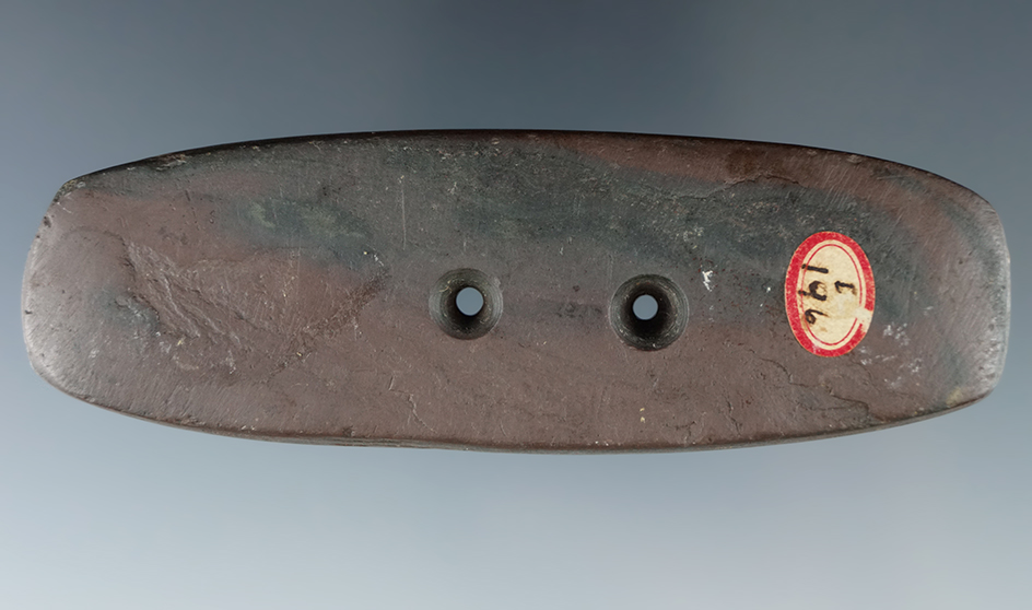 4 1/16" Elliptical Gorget found in Genesee County New York. Ex. Harry Scholff collection.