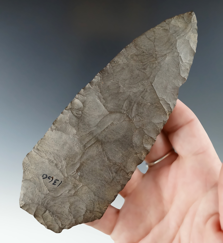 Nice!  Large 5 9/16"  Mansion Inn Blade - well flaked from from Esopus found in Steuben Co., NY.