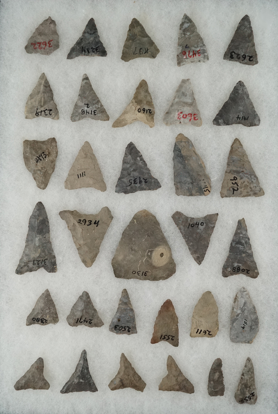 Group of 32 Mississippian Triangle points, largest is 1 7/8" all found in New York.