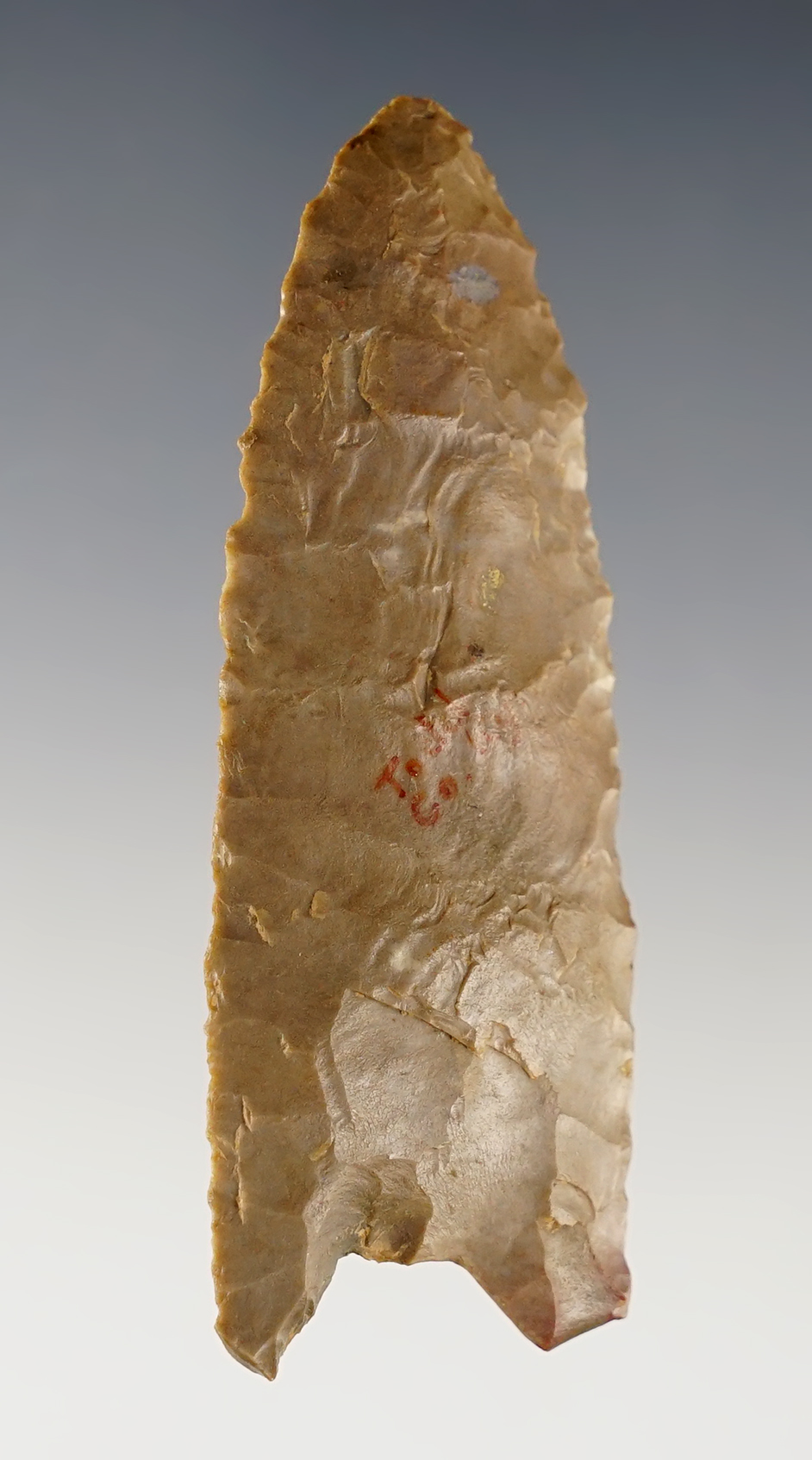 2 13/16" Fluted Paleo Clovis made from patinated Ft. Payne Chert. Todd Co., Kentucky. COA.