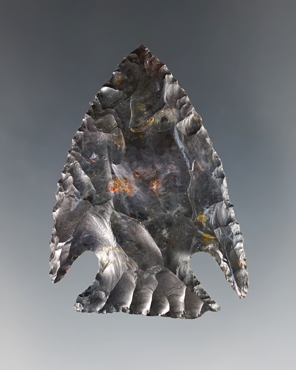 1 3/4" classic Intrusive Mound with long delicate barbs. Found near Nevada, Wyandot Co., Ohio.