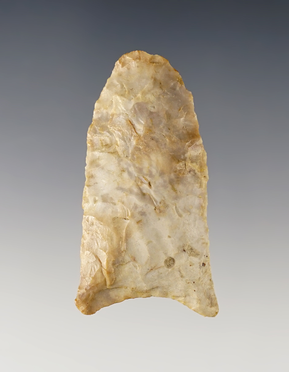 2 1/8" Paleo Quad reportedly found in Van Wert Co., Ohio. Comes with a Dickey COA.