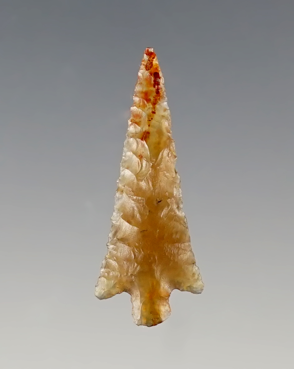 Thin and delicately made 1 1/16" Wallula point found near the Wakemap Mound in Oregon. COA.