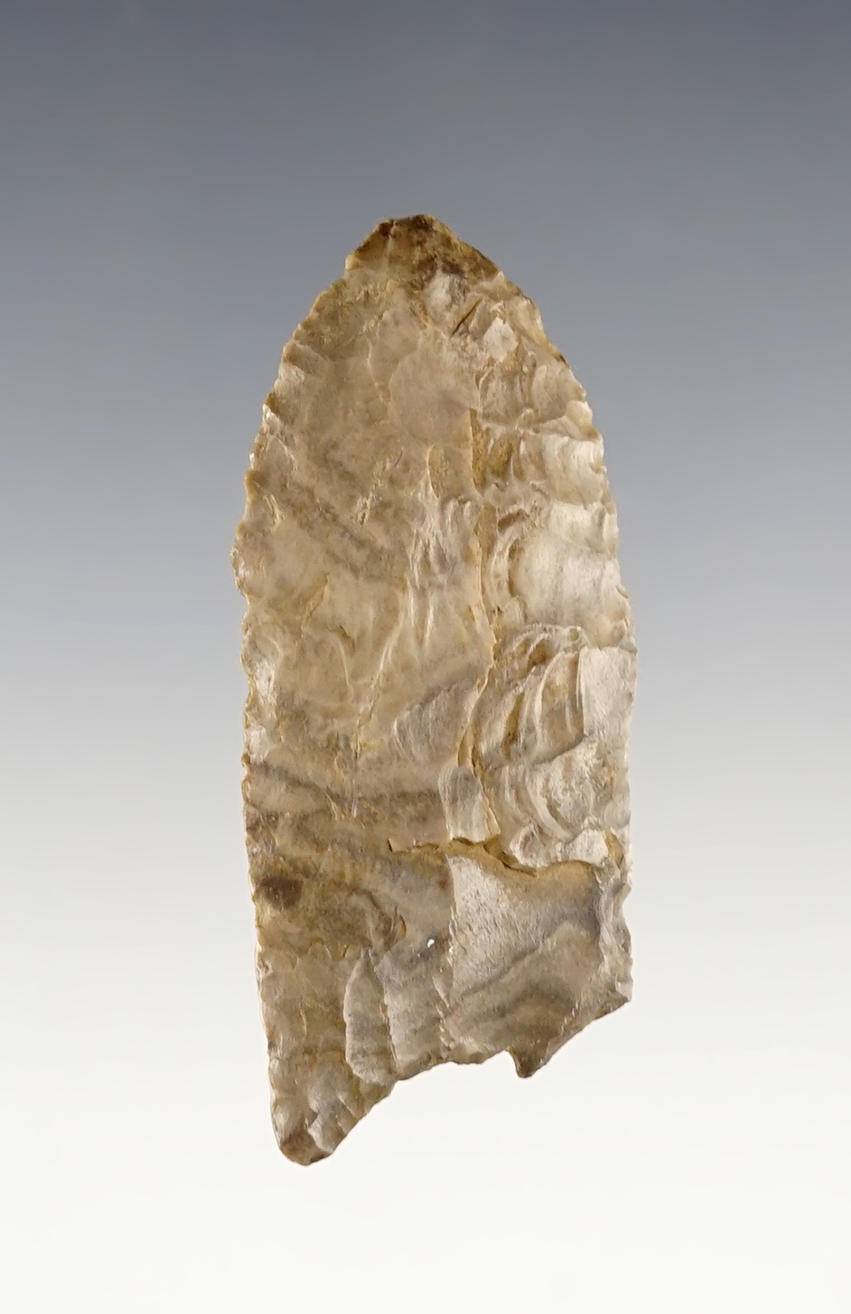 Nice material on this 2 3/16" Fluted Paleo Clovis found in the Ohio/Kentucky area.