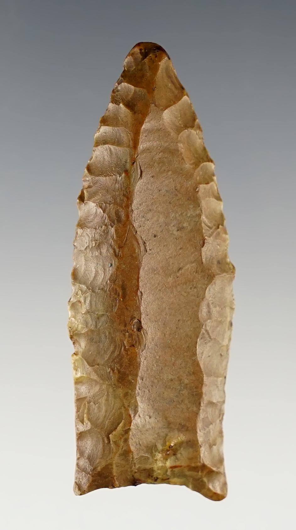 2 3/8" Beautifully patinated Paleo Cumberland with long flutes on both sides, found in Indiana.