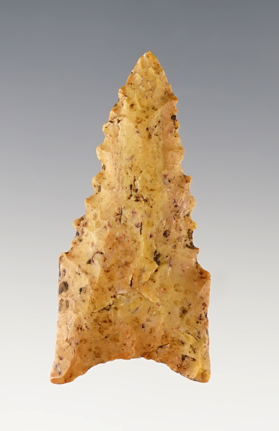 Heavily patinated 1 13/16" Kentucky Dalton with fine serrations. Ex. Garry Mumaw.