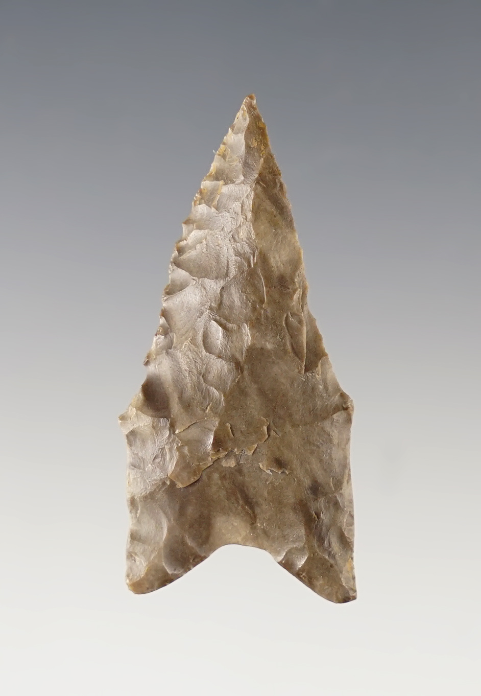 Nice 1 3/4" Dalton found in Southern Illinois. Ex. Glen Quinn.